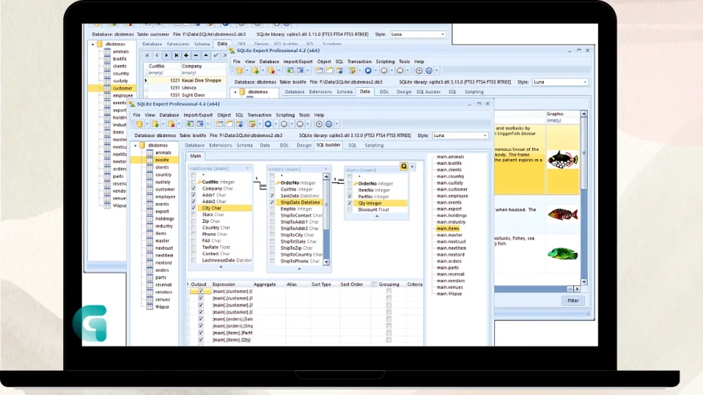 SQLite Expert Professional