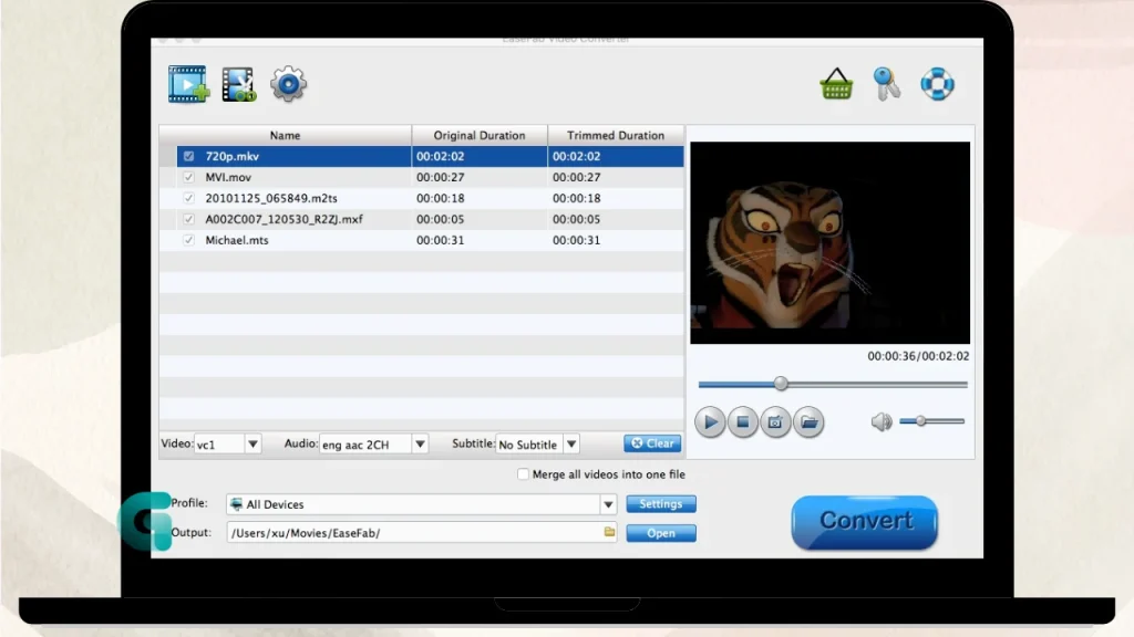 iFunia Video Converter free download